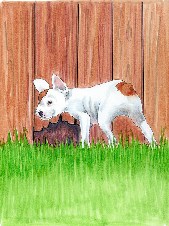 artmarker drawing of a a puppy about to climb through a hole in a fence