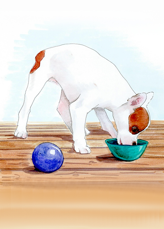 artmarker illustration of a puppy eating